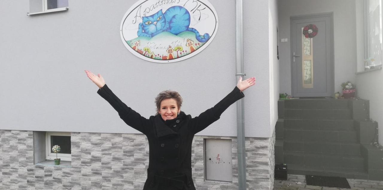 Apartmany Mk U Modre Kocky Nové Hrady エクステリア 写真