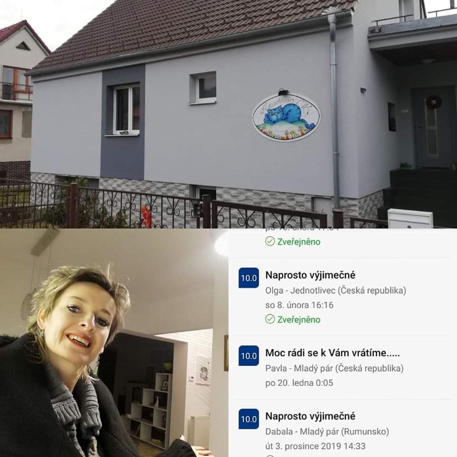 Apartmany Mk U Modre Kocky Nové Hrady エクステリア 写真